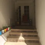 Siesta